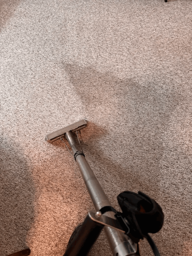 Carpet Cleaning - serving Modesto, CA and surrounding areas. Call today for a free quote!